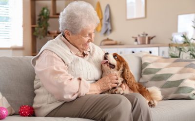 Animaux de compagnie et résidence services seniors : vivre avec son compagnon à la résidence NOVAGE à Amiens