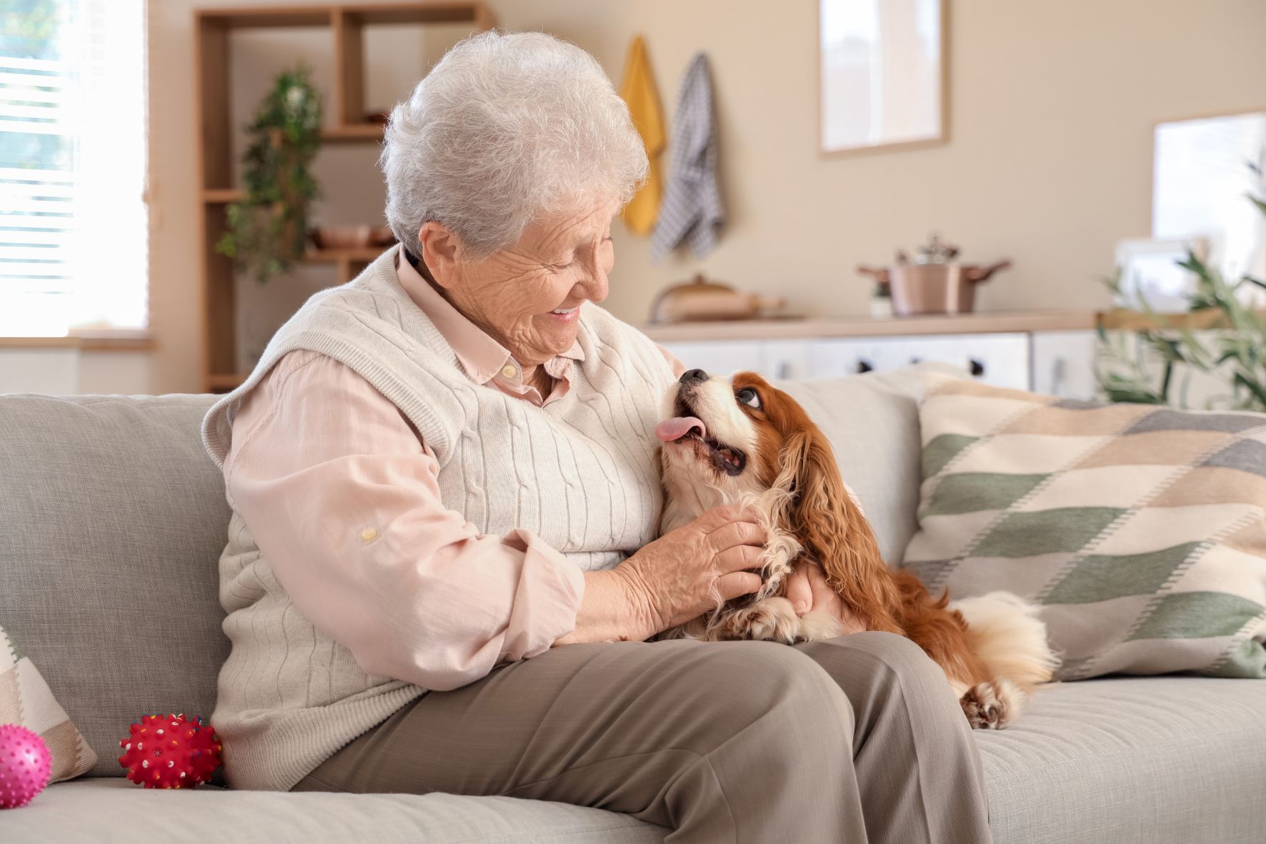 Couple seniors avec leur chien