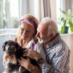 Offre Parrainage Novage, résidence services seniors Amiens